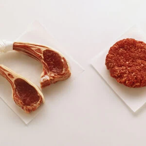 Raw meats, including cutlets, minced meat and fillet
