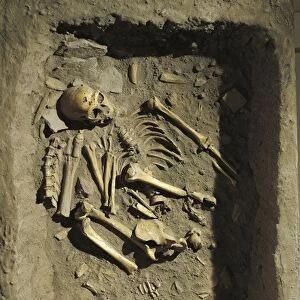 Reconstruction of burial of Neanderthal Man (Homo sapiens neanderthalensis) at La Chapelle-aux-Saints, France