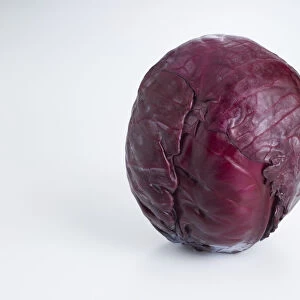 Red Cabbage on white background