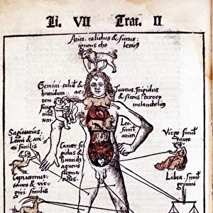 Relationship of organs of the body, the Humours and signs of Zodiac. From Gregor