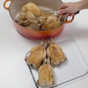 Removing poussins from casserole dish with a fork, close-up