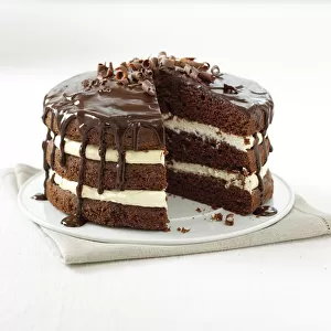 Rich chocolate cake