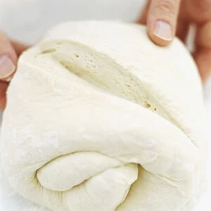 Risen bread dough