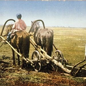 Russian peasants tilling a field in the late 19th century