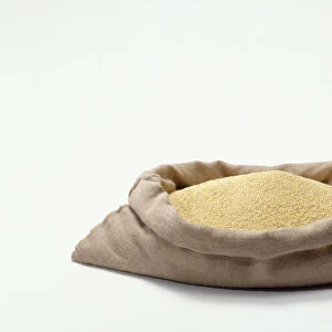 Sack of millet grains