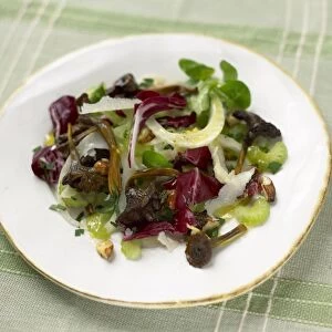 Salad of chanterelle mushrooms and cobnuts