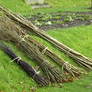 Selection of hazel rods and willow
