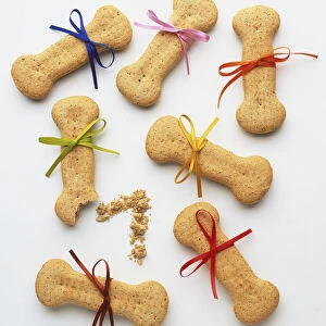 Seven dog biscuits with colourful bows tied around them