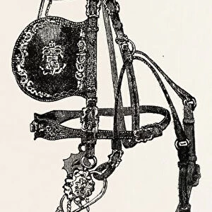 Silver Mounted Carriage Harness