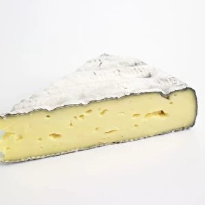 Slice of Austrian Weinkase cows milk cheese