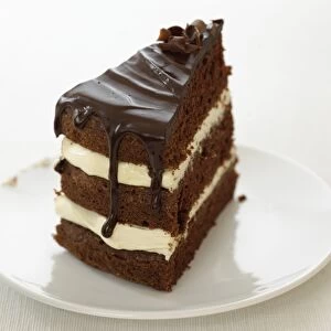 Slice of chocolate and cream layer cake on white plate