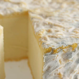 Slice of French Abbaye de la Pierre-qui-Vire cows milk cheese, close-up
