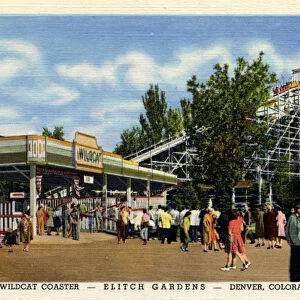 Spitfire and Wildcat Coasters at Elitch Gardens, Denver, Colorado