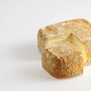 Square and slice of French Sable de Wissant cows milk cheese with breadcrumbs on rind