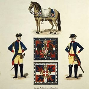Standards, uniforms and harnesses of Royal Cavalry Regiment, 1774