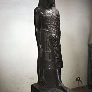 Statue of Anen (priest and astronomer), eighteenth dynasty, diorite