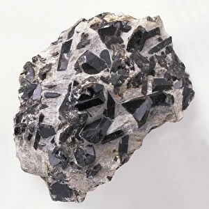 Staurolite crystals in mica schist groundmass, close-up