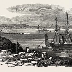 The Steamships pottinger And cyclops Stranded In Thorness Bay