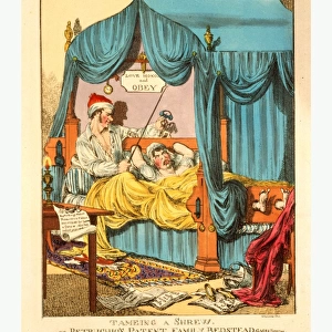 Tameing [i. e. Taming] A Shrew. Or Petruchios Patent Family Bedstead