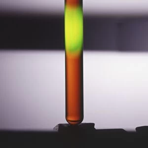A test tube contaiing a solution of sodium fluorescein
