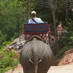Thailand, Phuket, Khao Nakkerd, tourist riding elephant, rear view