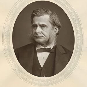 Thomas Henry Huxley (1825-1895) English biologist and man of science. Supporter of Darwin