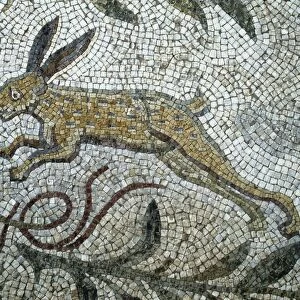 Tunisia, Carthage, Roman mosaic, rabbit