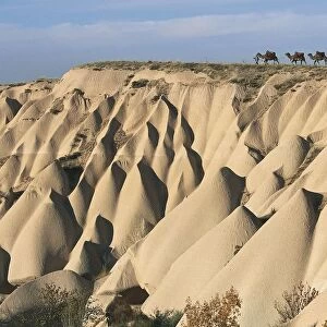 Turkey, Cappadocia, Uchisar, Petrified Desert, camels along ridge