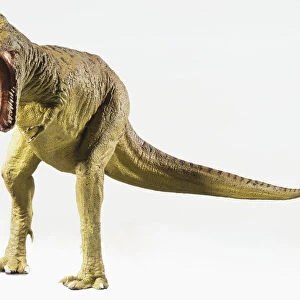 Tyrannosaurus with mouth open