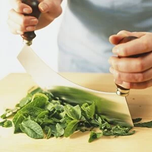 Using curved mezzaluna to chop mint leaves on wooden board