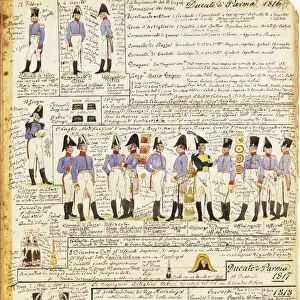 Various uniforms of the Duchy of Parma, 1816-1818. Color plate by Cenni Quinto
