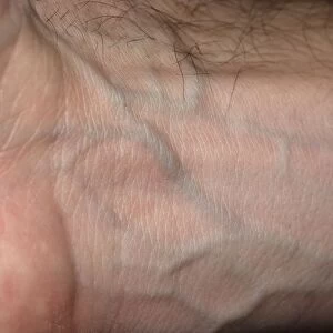 Veins and on mans wrist, close-up