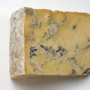 Wedge of Blue Cheshire Cheese
