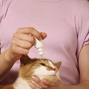 Woman holding head of cat as she applies eye drops