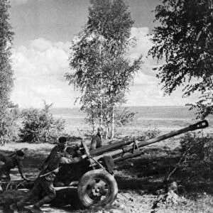 World war 2, august 1943, a red army gun crew pulling their gun to the firing position