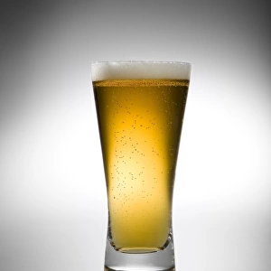beer in glass schooner, pint
