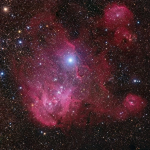 Close Up Running Chicken Nebula (IC 2944)