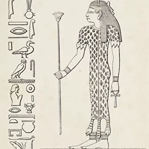 Ancient egyptian hieroglyph of Seshat goddess of architecture