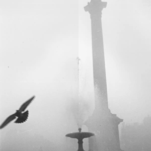 City Fog