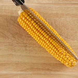 Corn or maize cob with kitchen knife