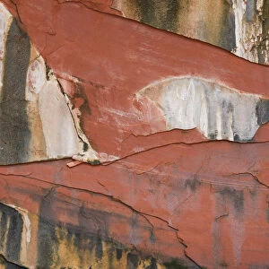 Cracked red stone in Kolob Canyon, Zion National Park, Utah, USA