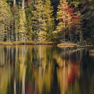 Fall colors along shoreline of Irwin Lake, Hiawatha National Forest, Upper Peninsula of Michigan, USA