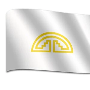 Flag of the Andean Community
