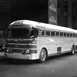 Greyhound buses in New York City