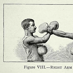 History of Boxing, two boxers, positions, right arm guard, blocking punch, Victorian combat sports, 19th Century