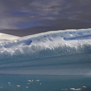 icebergs Antarctic Peninsula