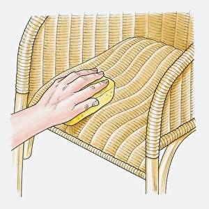Illustration showing how restore sagging seat of wicker chair using soapy sponge