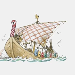 Illustration of Viking ships at sea
