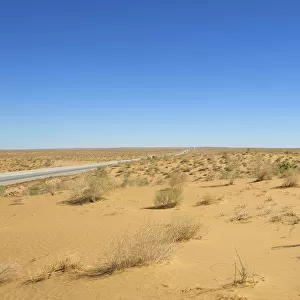 Kyzyl Kum desert, Uzbekistan