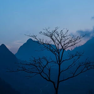 A leafless tree in front of mountains background